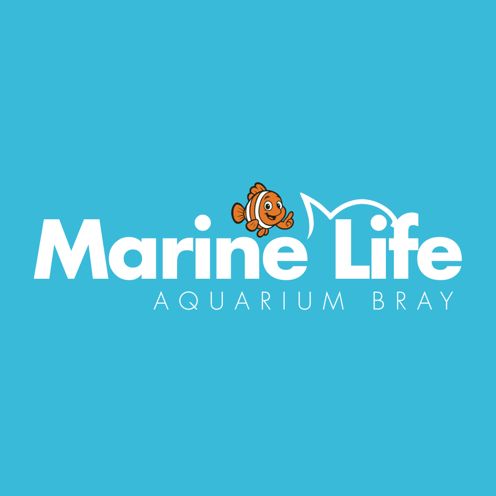 Marine Life Bray